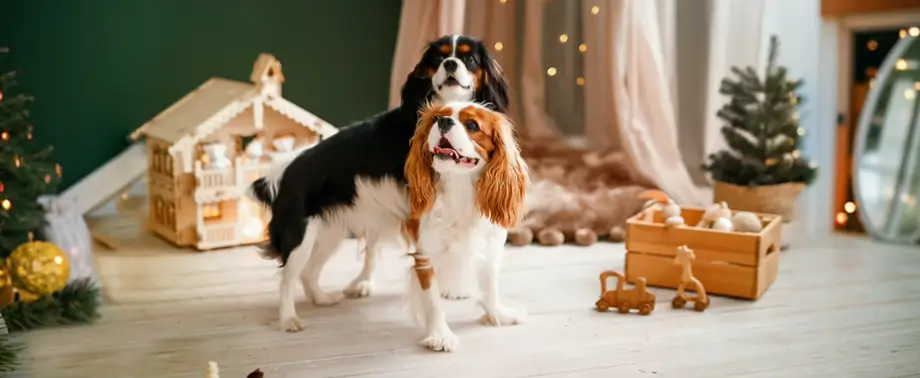 Породы собак для детей