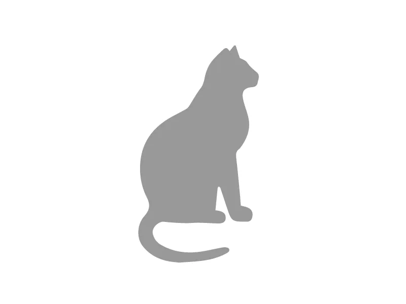 Американская короткошерстная кошка