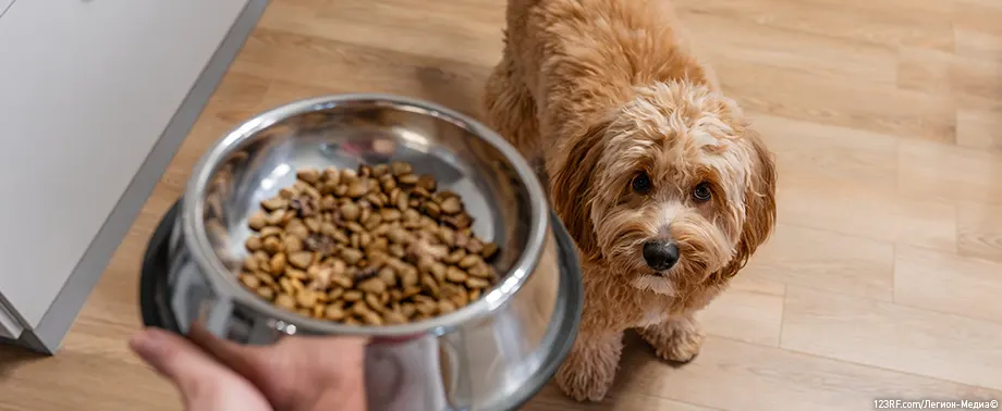 Как хранить корм ROYAL CANIN<sup class="reg">®</sup> для собак?