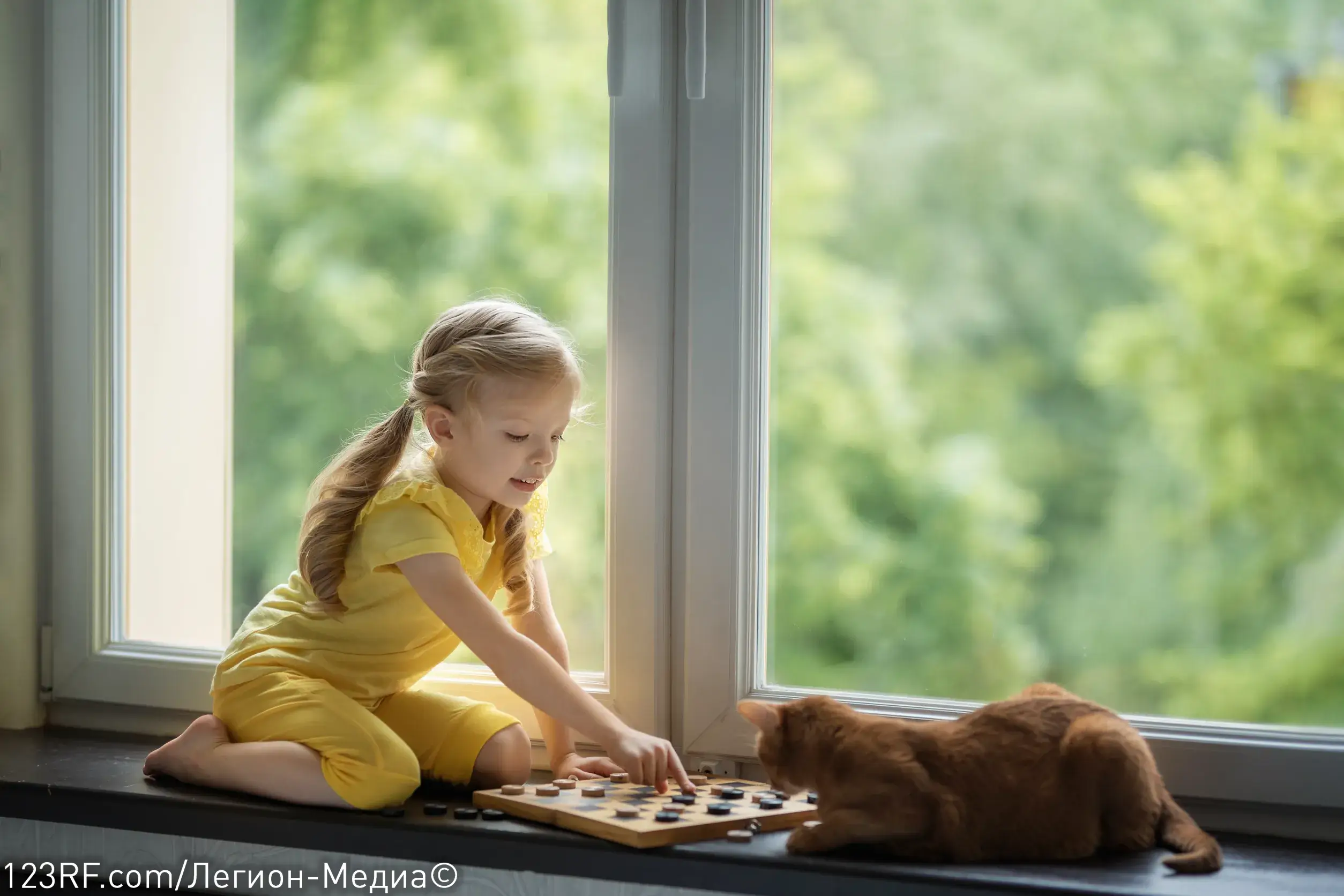 С чем любят играть котята?