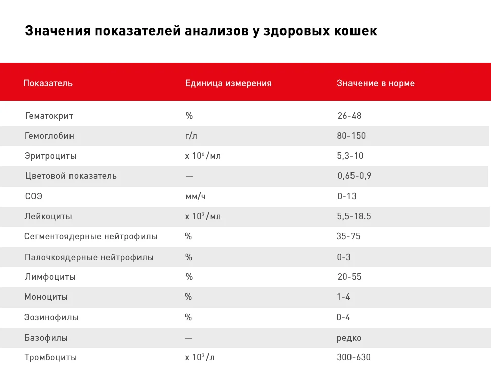 расшифровка анализа крови у кошек