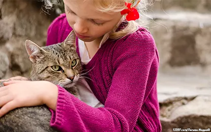 Какие заболевания передаются человеку от кошек?