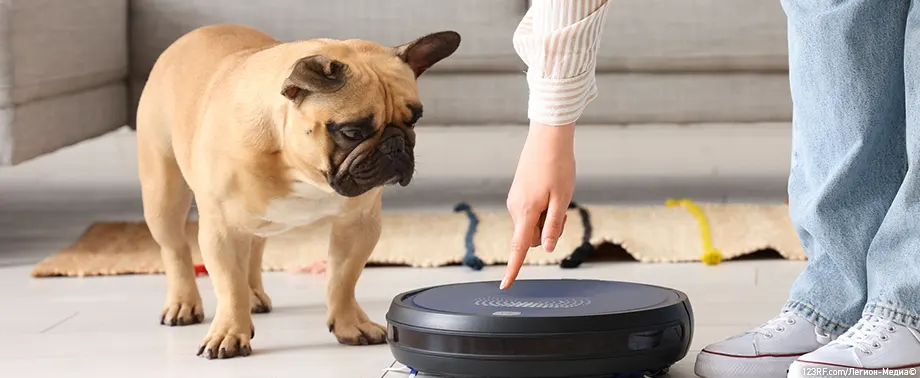 Аллергия на собак