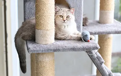 Как сделать домик для кошки