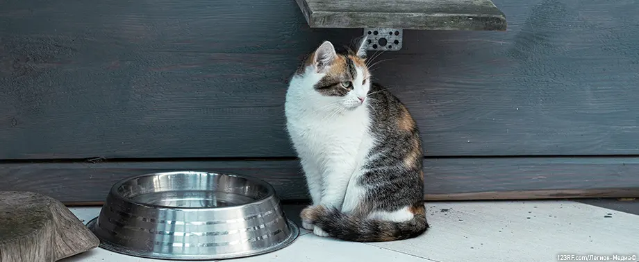 Как проверить корм ROYAL CANIN<sup class="reg">®</sup>  на оригинальность