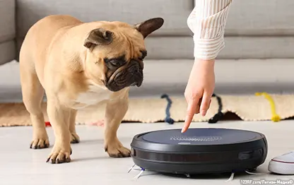 Аллергия на собак