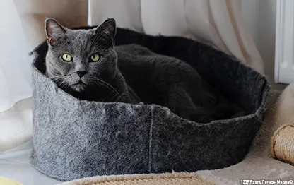 Лежанка для кошки своими руками