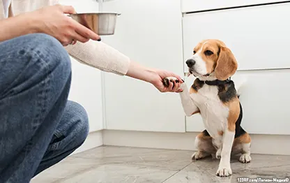 Сколько давать корма ROYAL CANIN® собаке