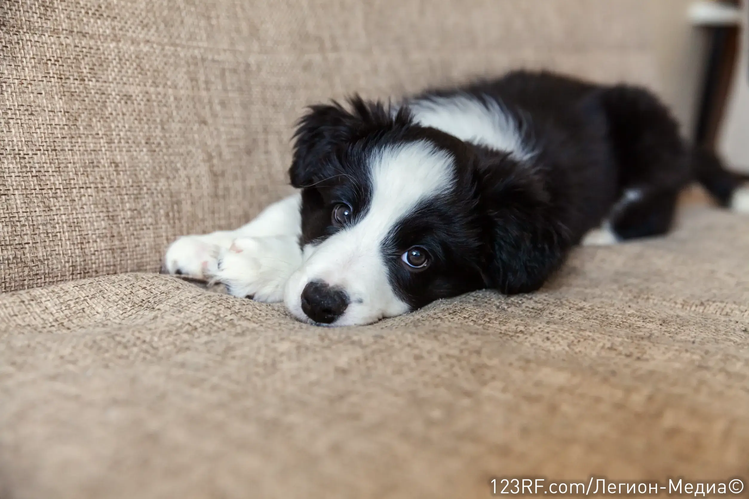 Что такое эпилепсия?