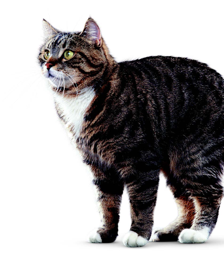 Жалаңаш қарт әйелдің суреті Орысша 720p порно видео